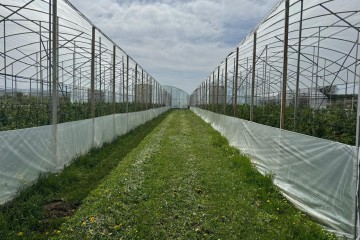 Фото №2: Коммерческая земля 310 сот. - Первомайский, ул. Мира, 1