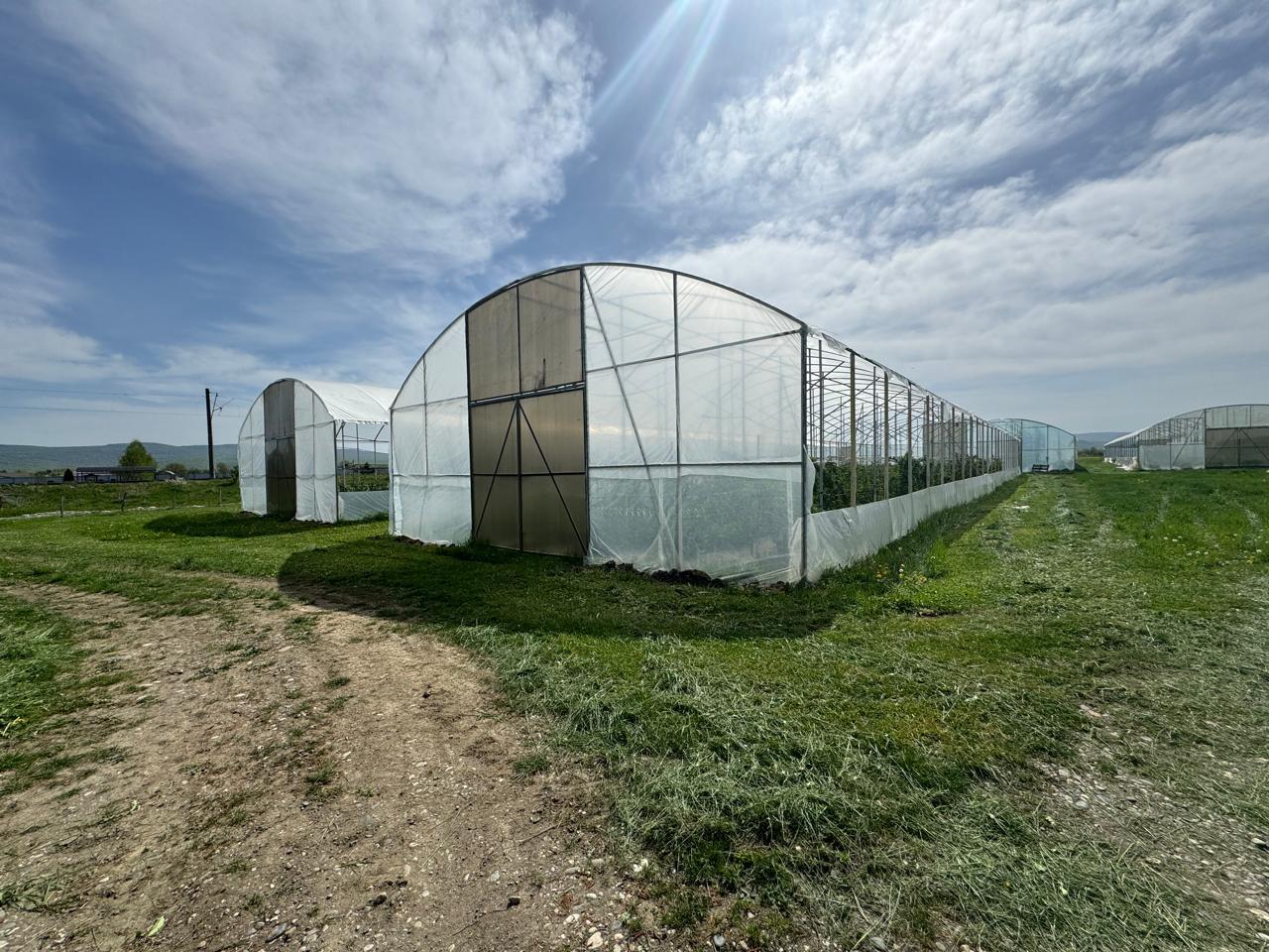 Фото №5: Коммерция 310 м² - Первомайский, ул. Мира, 1