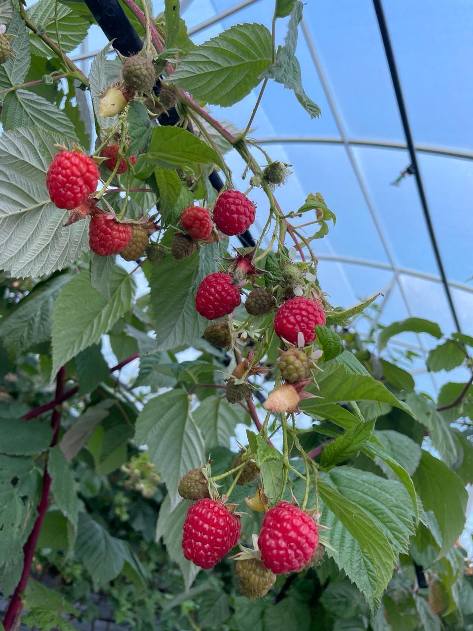 Фото №7: Коммерция 310 м² - Первомайский, ул. Мира, 1