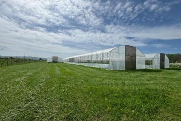 Фото №1: Коммерция 310 м² - Первомайский, ул. Мира, 1