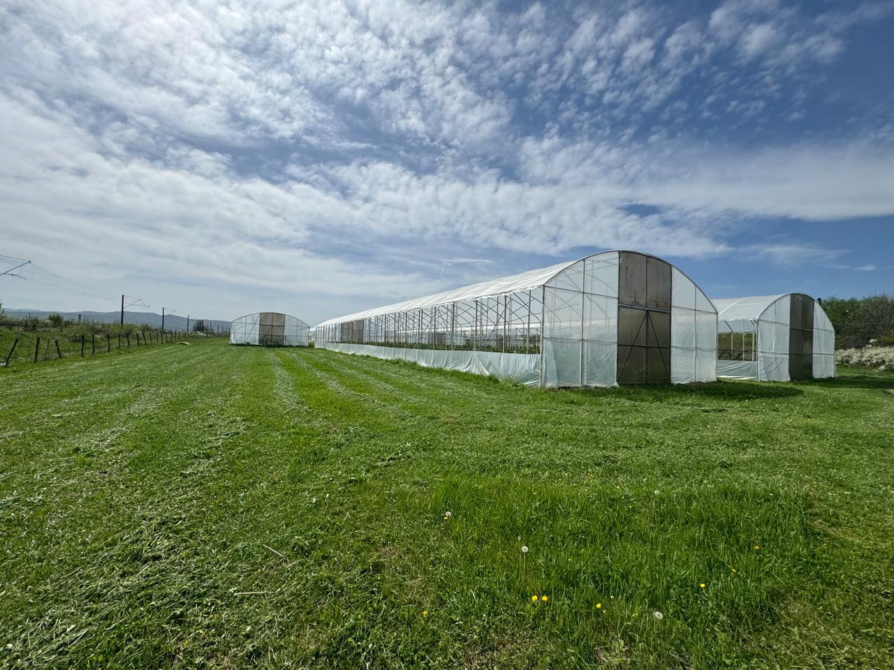 Фото №1: Коммерция 310 м² - Первомайский, ул. Мира, 1