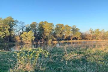 Фото №2: Земельный участок 6.54 сот. - Новобжегокай, 