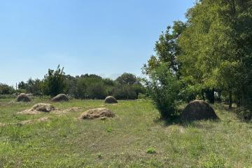 Фото №1: Земельный участок 26 сот. - Карла Маркса, ул. Южная, 228