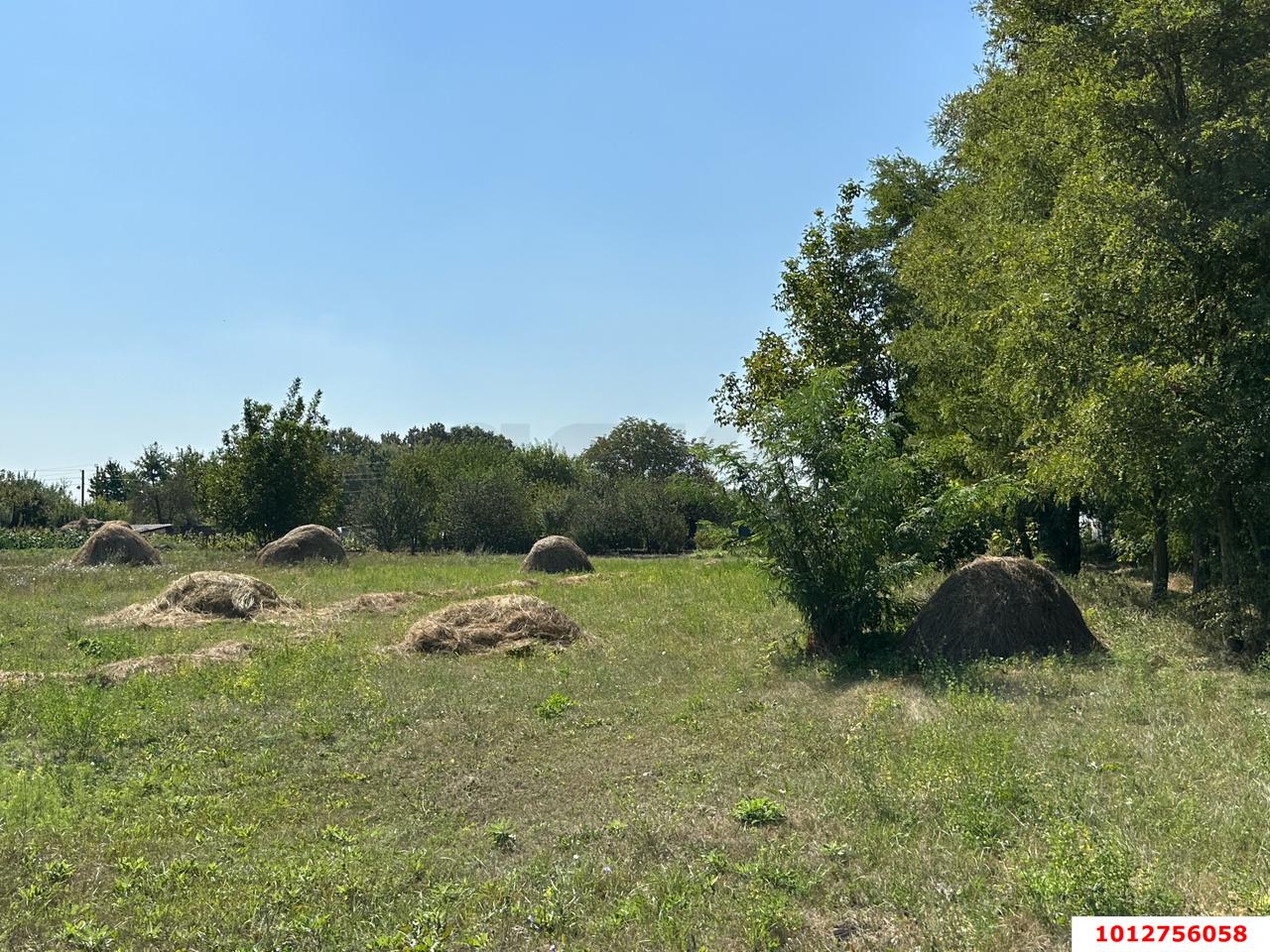 Фото №1: Земельный участок 26 сот. - Карла Маркса, ул. Южная, 228