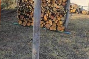 Фото №1: Земельный участок под ИЖС 4 сот. - Краснодар, ст КНИИСХ, ул. Земляничная, 263