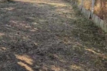 Фото №4: Земельный участок под ИЖС 4 сот. - Краснодар, ст КНИИСХ, ул. Земляничная, 263