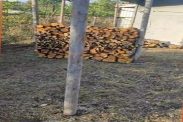 Фото №1: Земельный участок 4 сот. - Краснодар, ст КНИИСХ, ул. Земляничная, 263