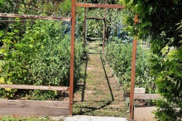 Фото №4: Земельный участок под ИЖС 35 сот. - Эриванская, ул. Тельмана, 16