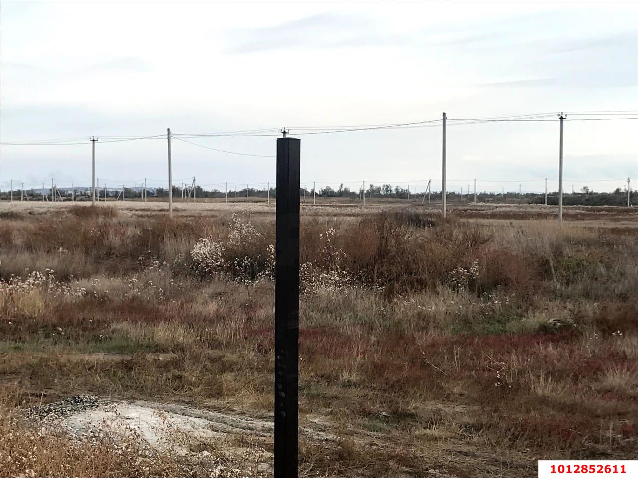 Фото №11: Личное подсобное хозяйство 6 сот. - Голубицкая, ул. Абрикосовая