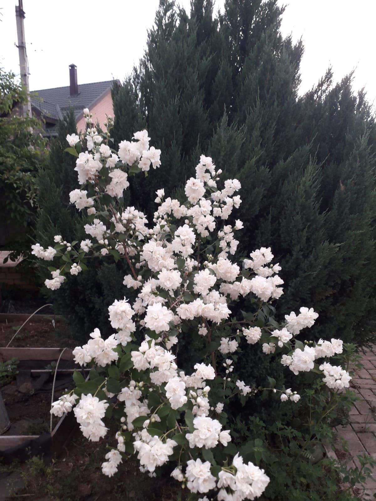 Фото №7: Дом 121 м² + 10.05 сот. - СНТ Радуга, мкр. Прикубанский внутригородской округ, ул. Кубанская