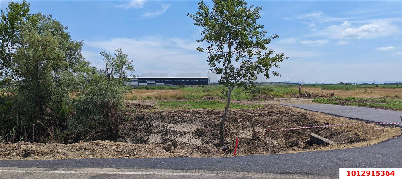 Фото №5: Коммерческая земля 191 сот. - Энем