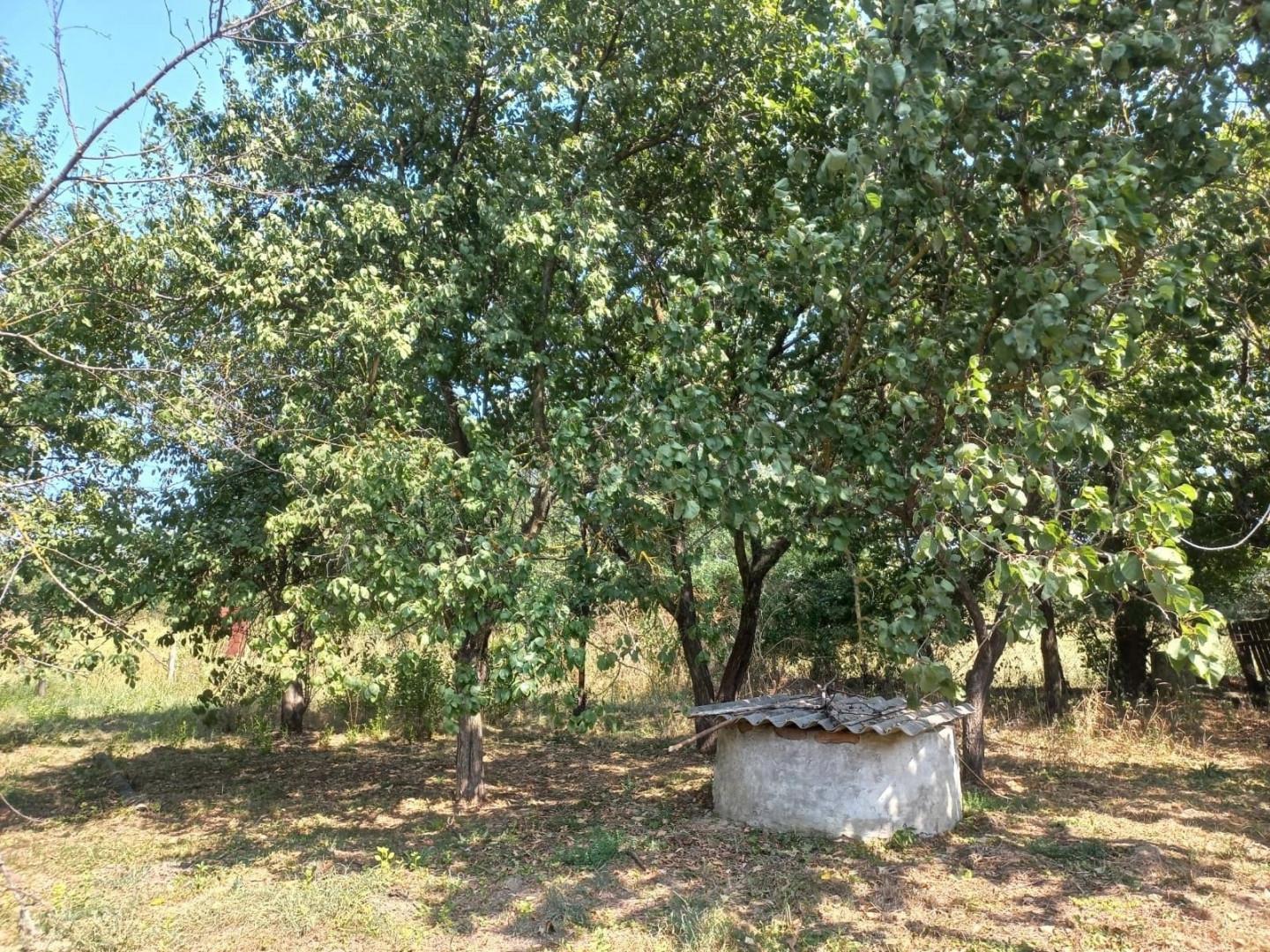 Фото №6: Дом 67 м² + 52.8 сот. - Псейтук, ул. Совмена