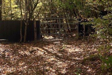 Фото №2: Коммерческая земля 26 сот. - Горячий Ключ, п. Золотая Гора, ул. Золотая Гора, 6
