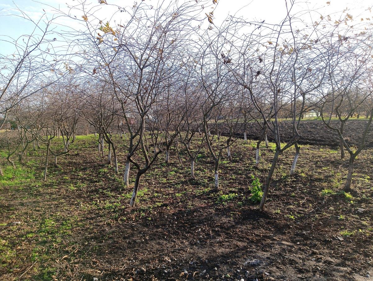 Фото №13: Дом 149 м² + 18.93 сот. - Воронежская, ул. Чапаева, 107