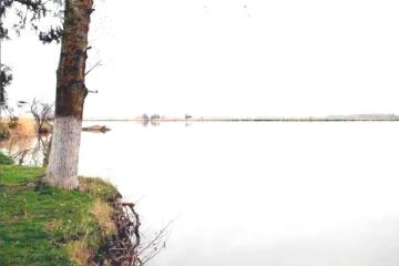 Фото №5: Дом 61 м² - Ивановская, ул. Мира, 27