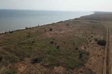 Фото №5: Земельный участок 400 сот. - Кучугуры, 