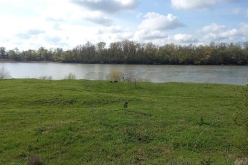 Фото №2: Земельный участок под ИЖС 50 сот. - Афипсип, ул. Х.М. Совмена