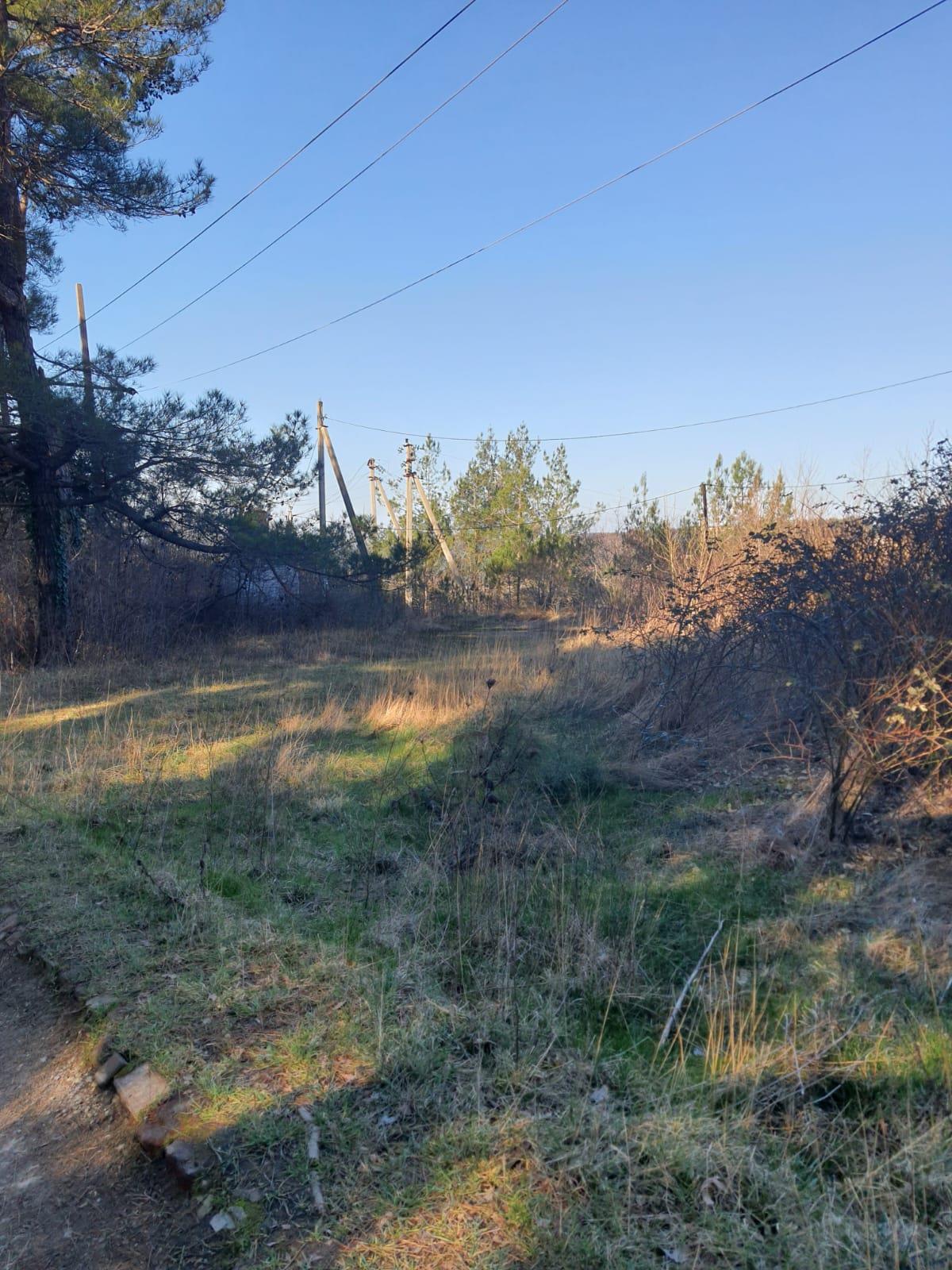 Фото №3: Коммерция 131 м² - Ольгинка, мкр. Нагорный, ул. Восточная, 35