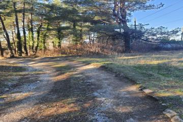 Фото №5: Коммерция 131 м² - Ольгинка, мкр. Нагорный, ул. Восточная, 35