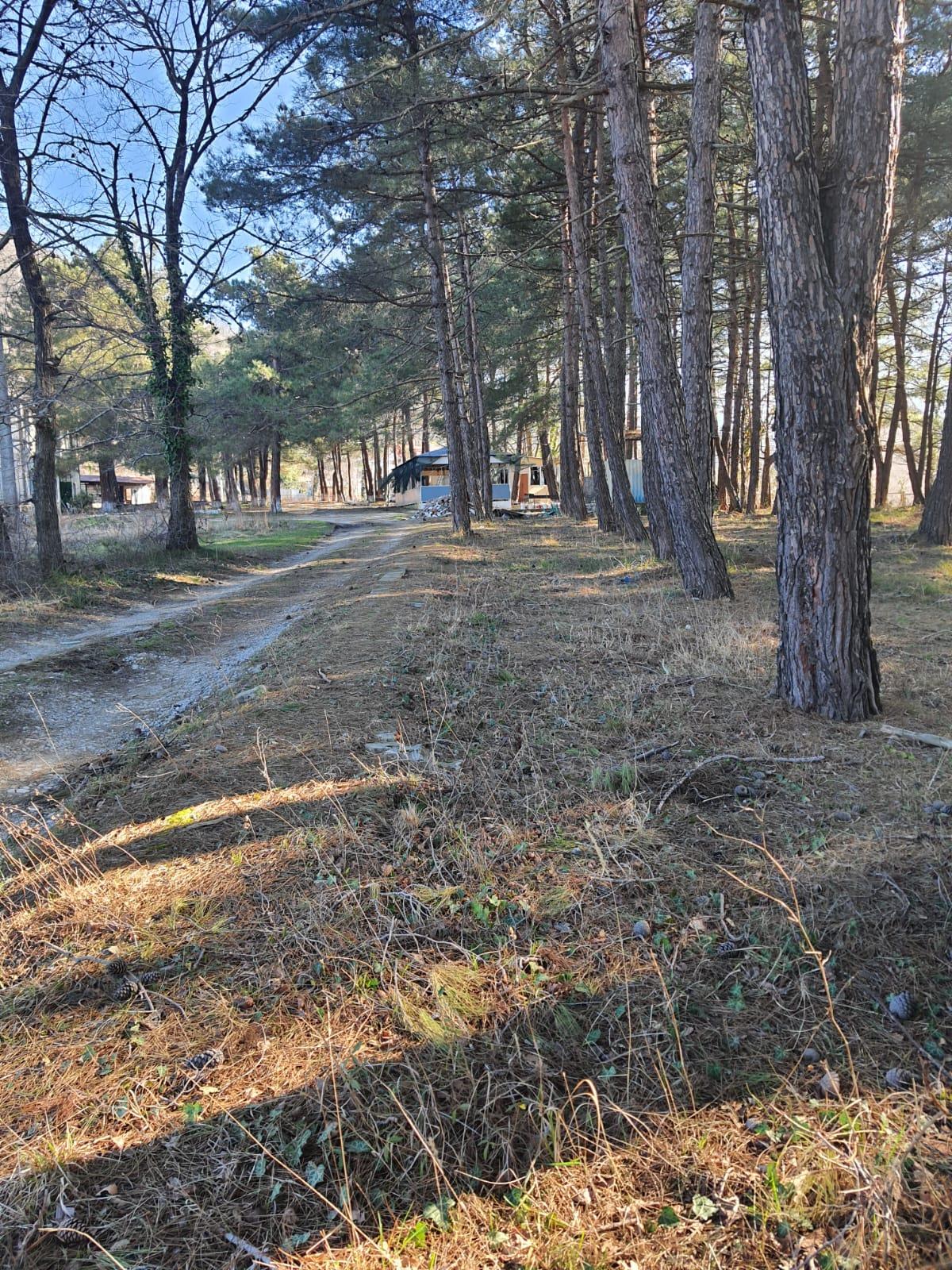 Фото №7: Коммерция 131 м² - Ольгинка, мкр. Нагорный, ул. Восточная, 35