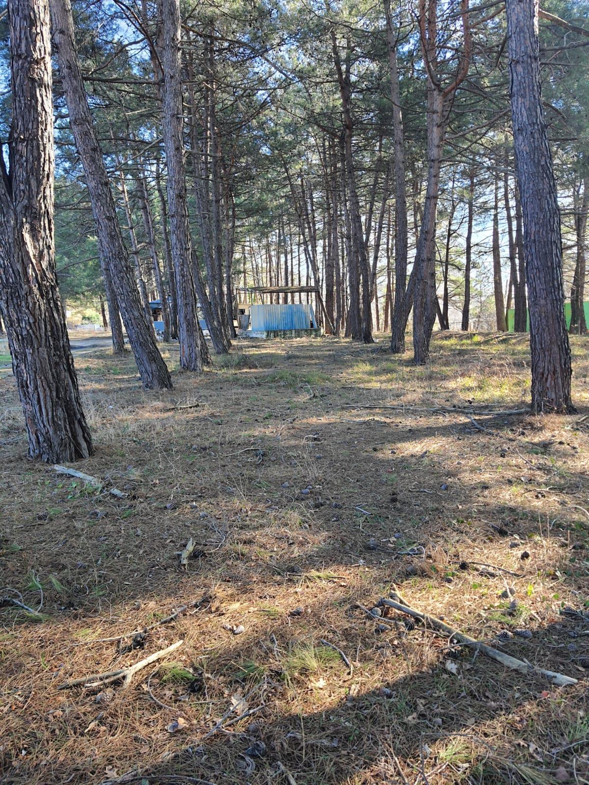 Фото №6: Коммерция 131 м² - Ольгинка, мкр. Нагорный, ул. Восточная, 35