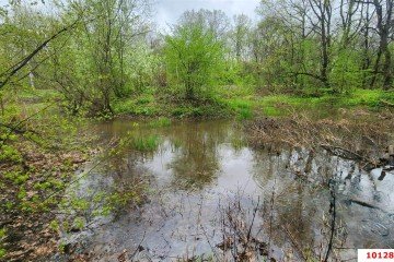 Фото №3: Коммерческая земля 170 сот. - Григорьевская, ул. Морская, 9