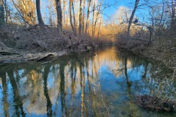 Фото №2: Коммерция 170 м² - Григорьевская, ул. Морская, 9