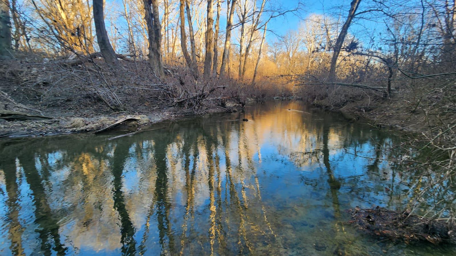 Фото №2: Коммерция 170 м² - Григорьевская, ул. Морская, 9