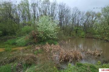 Фото №4: Коммерческая земля 170 сот. - Григорьевская, ул. Морская, 9