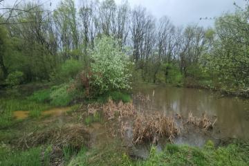 Фото №4: Коммерция 170 м² - Григорьевская, ул. Морская, 9