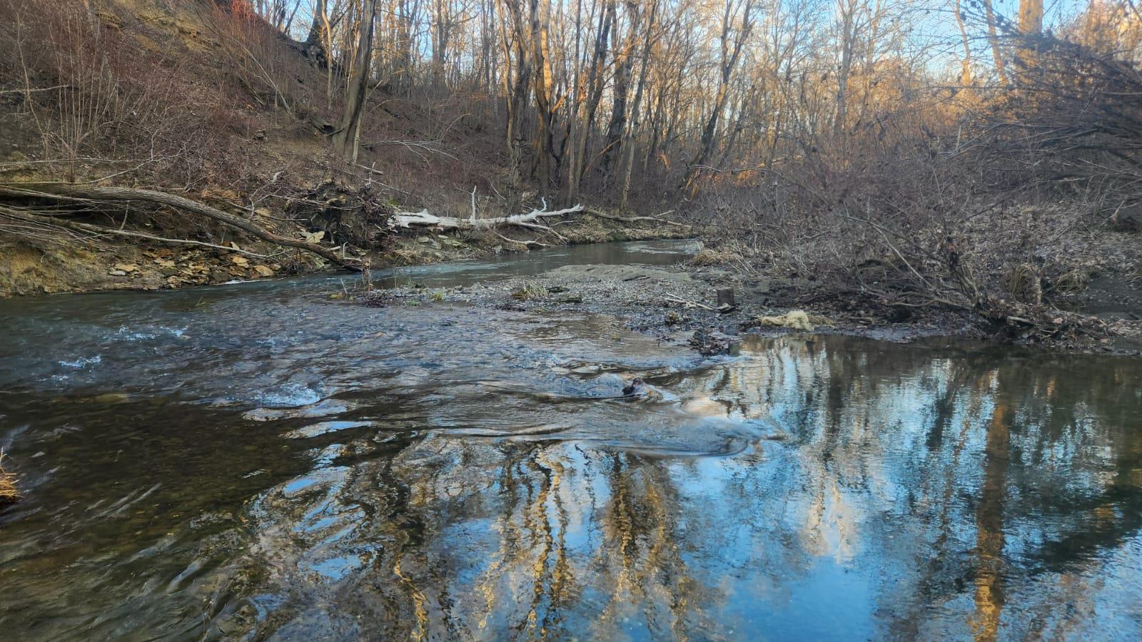 Фото №1: Коммерция 170 м² - Григорьевская, ул. Морская, 9