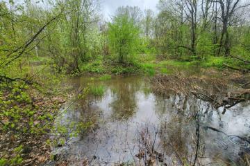 Фото №3: Коммерция 170 м² - Григорьевская, ул. Морская, 9