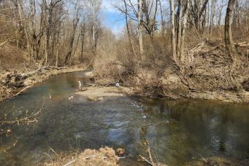 Фото №5: Коммерция 170 м² - Григорьевская, ул. Морская, 9