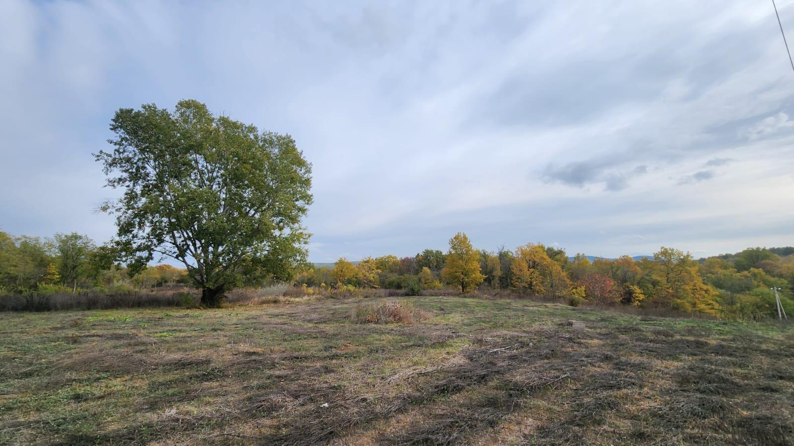 Фото №7: Коммерция 170 м² - Григорьевская, ул. Морская, 9