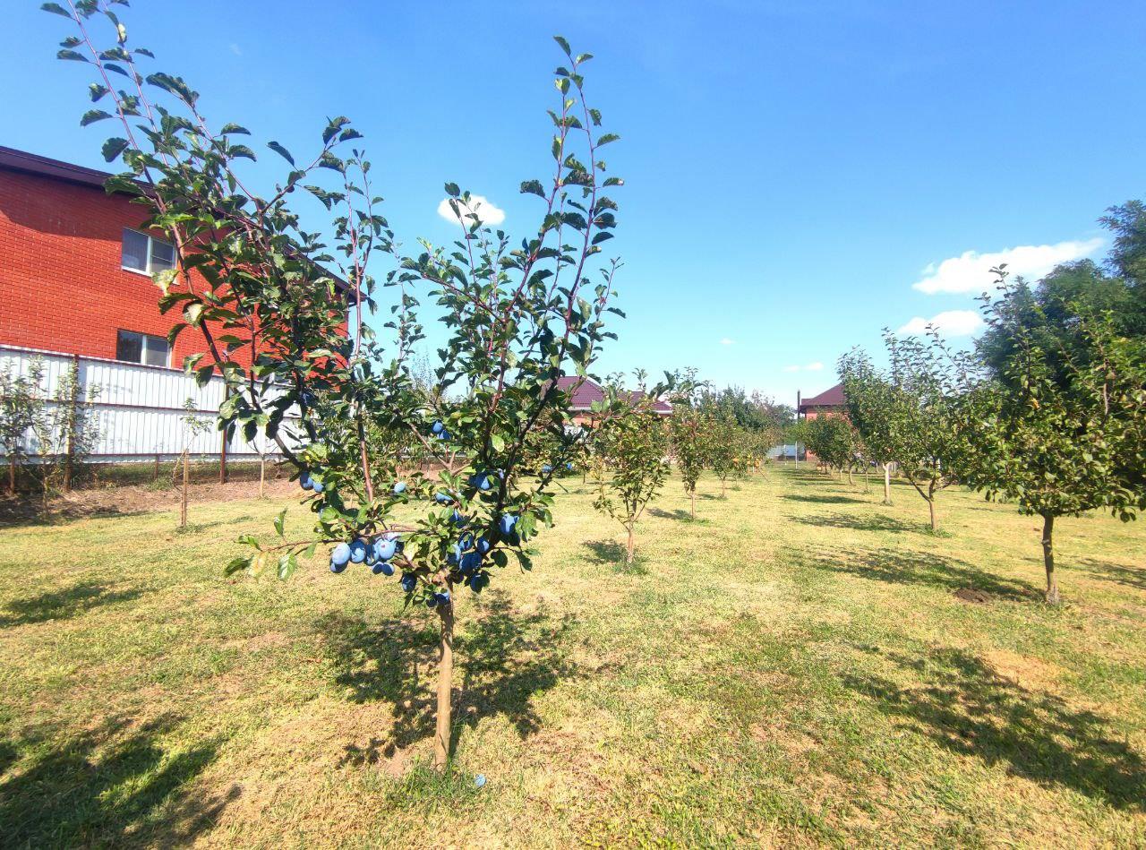 Фото №14: Земельный участок 23.5 сот. - Старокорсунская, мкр. Карасунский внутригородской округ, ул. Мира, 74