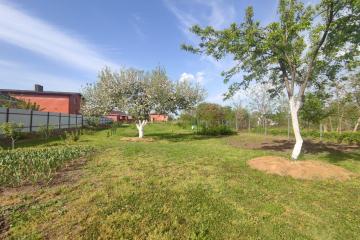 Фото №5: Земельный участок 23.5 сот. - Старокорсунская, мкр. Карасунский внутригородской округ, ул. Мира, 74