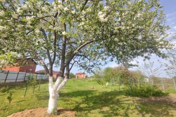 Фото №4: Земельный участок 23.5 сот. - Старокорсунская, мкр. Карасунский внутригородской округ, ул. Мира, 74