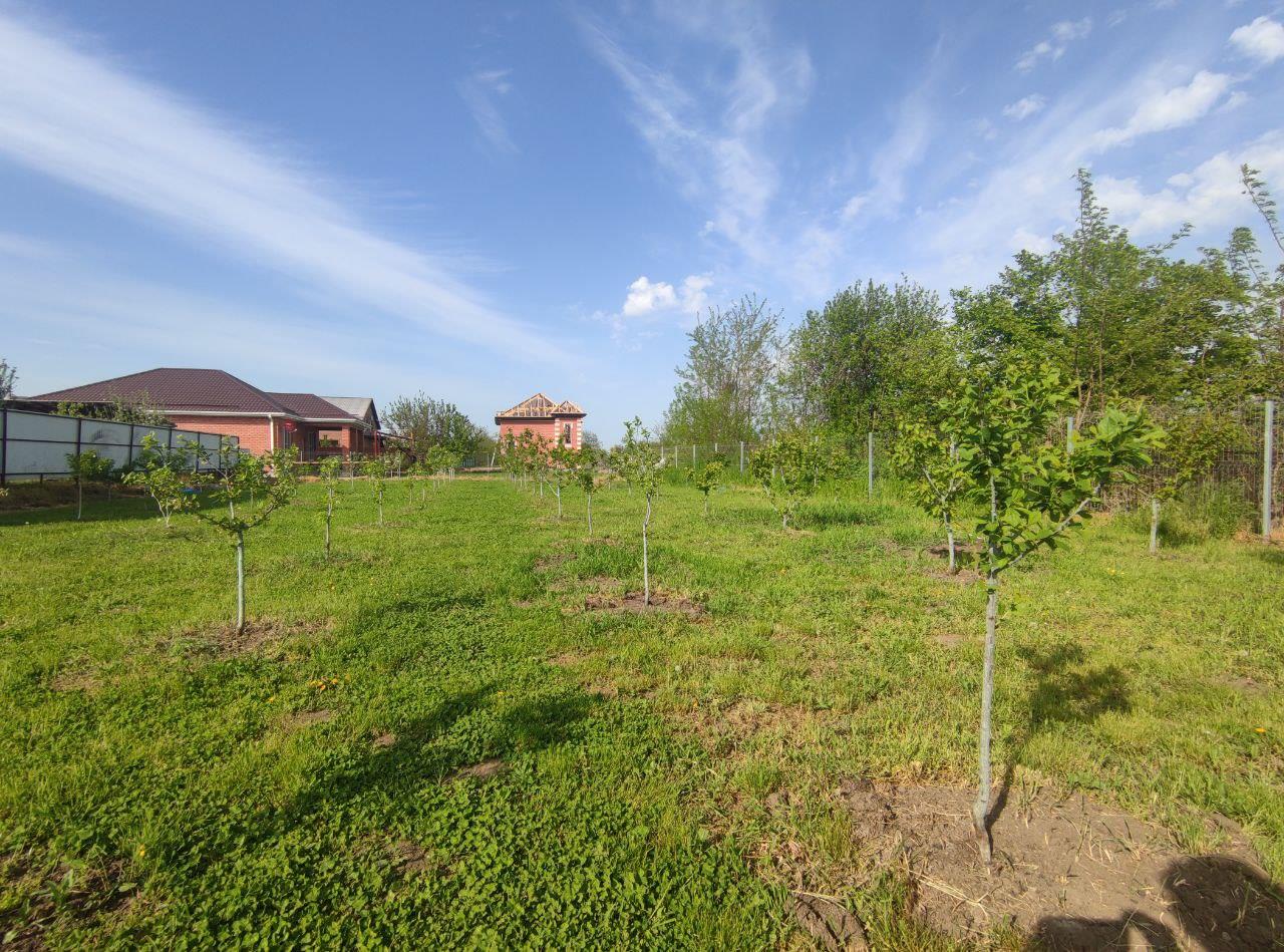 Фото №2: Земельный участок 23.5 сот. - Старокорсунская, мкр. Карасунский внутригородской округ, ул. Мира, 74