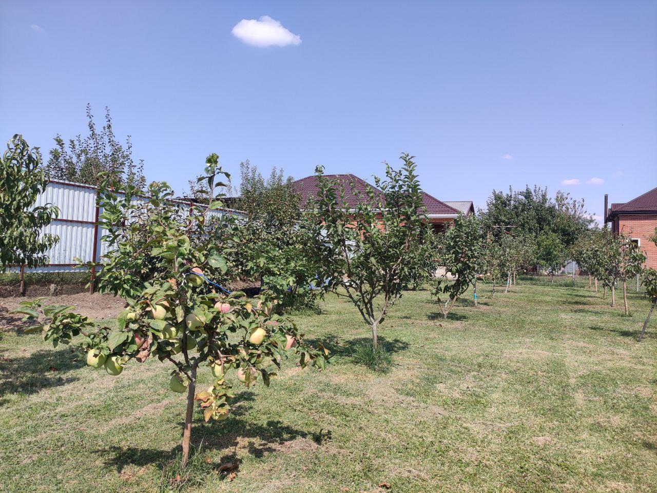 Фото №10: Земельный участок 23.5 сот. - Старокорсунская, мкр. Карасунский внутригородской округ, ул. Мира, 74