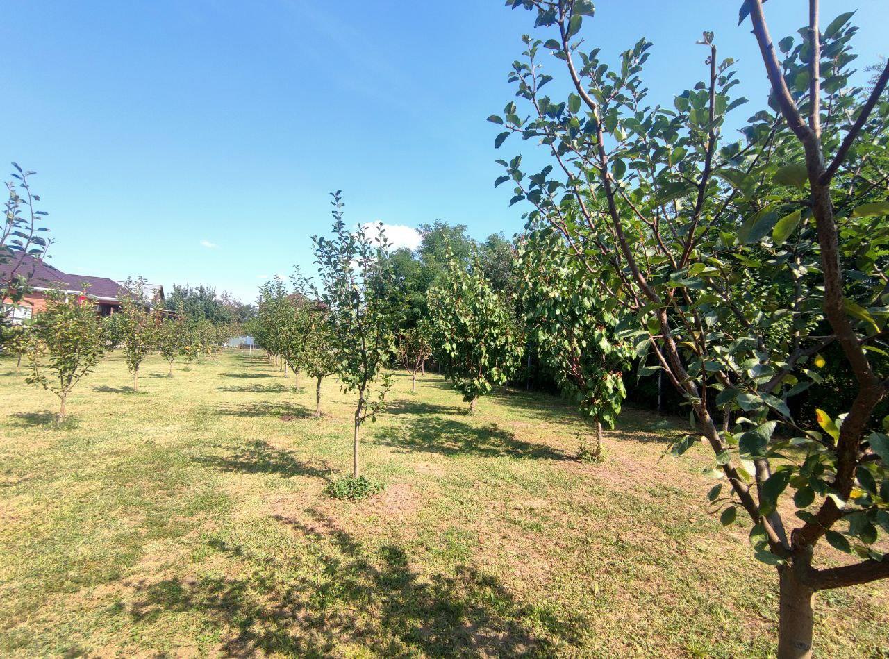 Фото №12: Земельный участок 23.5 сот. - Старокорсунская, мкр. Карасунский внутригородской округ, ул. Мира, 74