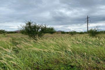 Фото №1: Земельный участок 7.42 сот. - Козет, ул. Перспективная, 61