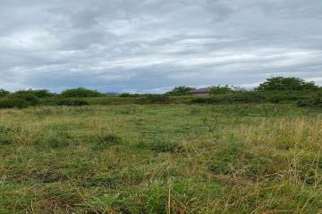 Фото №2: Земельный участок 7.42 сот. - Козет, ул. Перспективная, 61