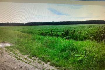 Фото №2: Коммерция 333 м² - Краснодарский край Северский район