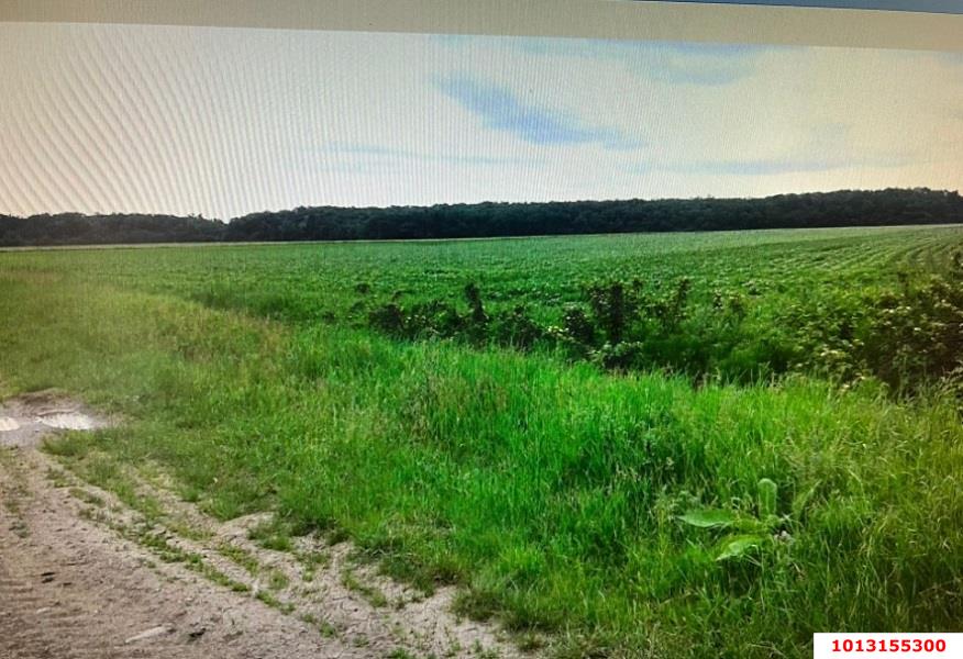 Фото №2: Коммерция 333 м² - Краснодарский край Северский район