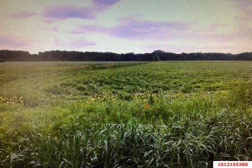 Фото №5: Коммерческая земля 334 сот. - Краснодарский край Северский район