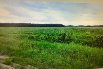 Фото №4: Коммерция 333 м² - Краснодарский край Северский район