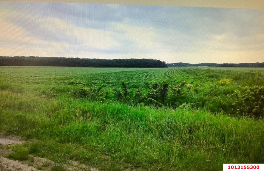 Фото №4: Коммерция 333 м² - Краснодарский край Северский район