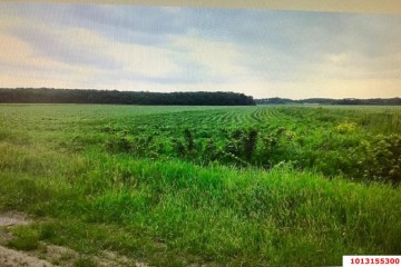 Фото №4: Коммерческая земля 334 сот. - Краснодарский край Северский район