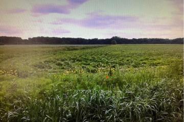 Фото №5: Коммерция 333 м² - Краснодарский край Северский район