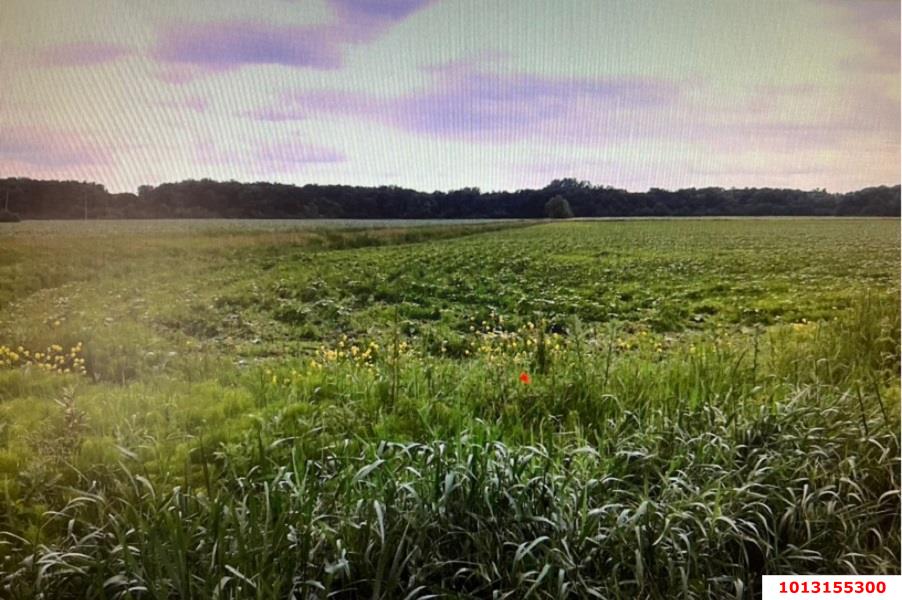 Фото №5: Коммерция 333 м² - Краснодарский край Северский район